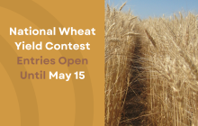 Image: National Wheat Yield Contest Wheat Scoop.