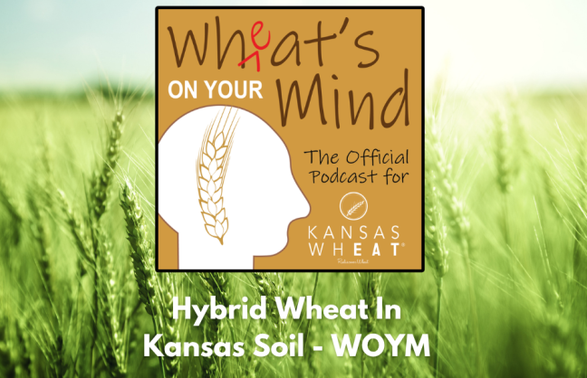 Corteva (Facebook Post).png