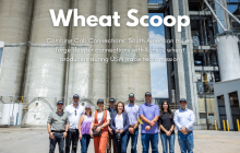 Wheat Scoop: SAMTT.