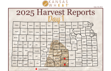 Image: Kansas Wheat Harvest Report Day 1.