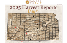 Map: Day 6 Harvest Report.