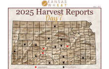 Map: Day 7 Harvest Report.