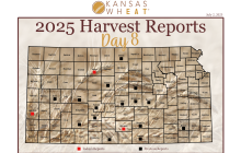 Map: Day 8 Harvest Report.