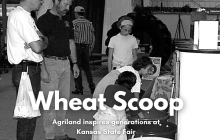 Copy of Wheat Scoop - Agriland (Facebook Post).png