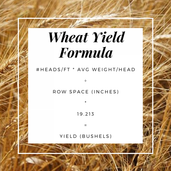 Full Wheat Formula