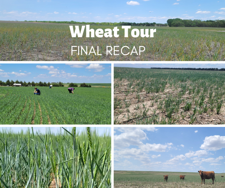 Wheat Tour 2023 Recap