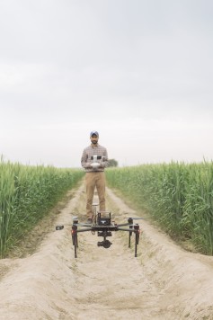 Kansas State University graduate student Daljit Singh leads the high-throughput phenotyping efforts in India for the Feed the Future Innovation Lab for Applied Wheat Genomics