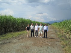 Colombia does not grow much wheat, so the team instead checked out a local sugarcane field. 