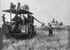 Photo: Alex Schumacher and his brothers (Volga Germans) harvest wheat near Munjor, Kansas, using a steam-powered threshing machine. (source: Kansas Historical Society)