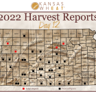 harvest_report_day_12_2.png