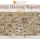 harvest_report_day_13_0.png