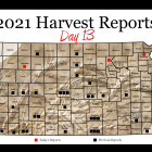 harvest_report_day_13_1.jpg