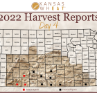 harvest_report_day_4_5.png