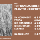 planted_wheat_varieties_2020.png