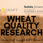 wheat_quality_research.png