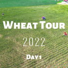 wheat_tour_1.png