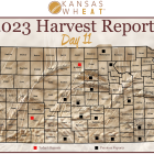 Day 11, Kansas Wheat Harvest Report