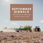 Wheat Scoop: September Signals the Start of Kansas Wheat Planting