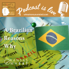 WOYM Podcast- A Brazilian Reasons Why 
