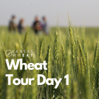 Image: Wheat Tour Day 1.