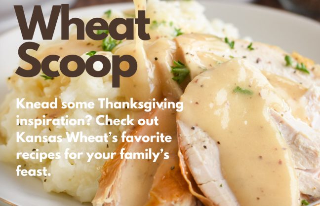 Wheat Scoop: Thanksgiving Roundup.