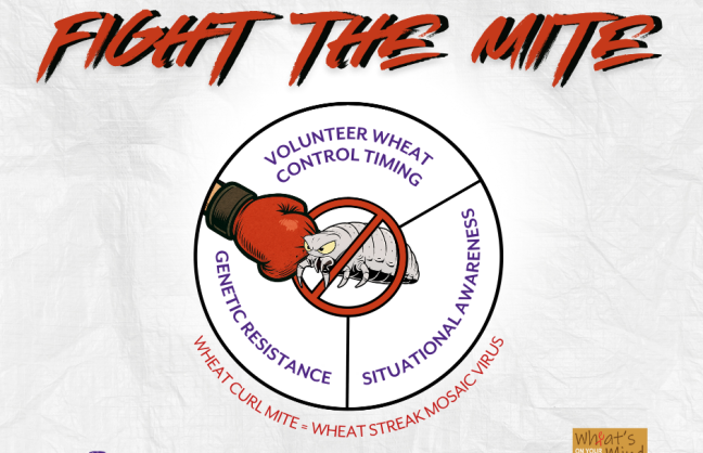 Copy of Fight the Mite.