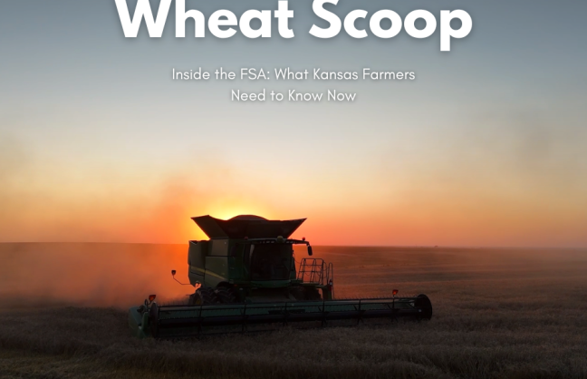 Copy of Copy of Wheat Scoop