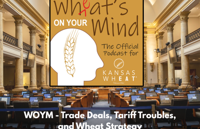WOYM Trade (Facebook Post).png