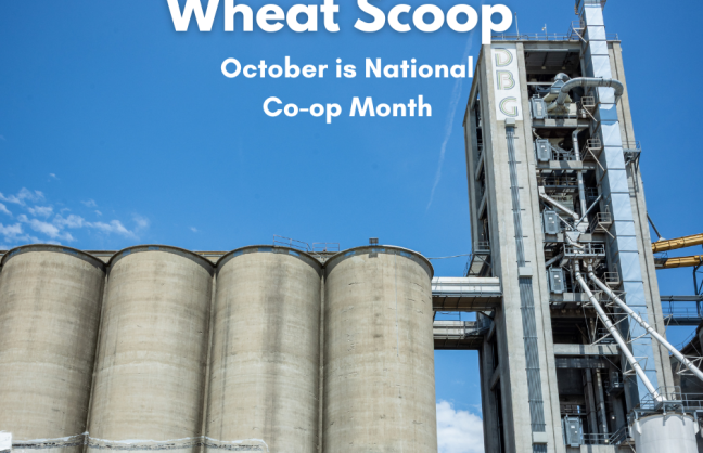 Wheat Scoop - October is National Co-op Month (Facebook Post).png