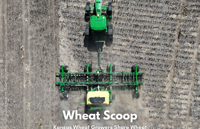 Wheat Scoop - CC (Facebook Post).png