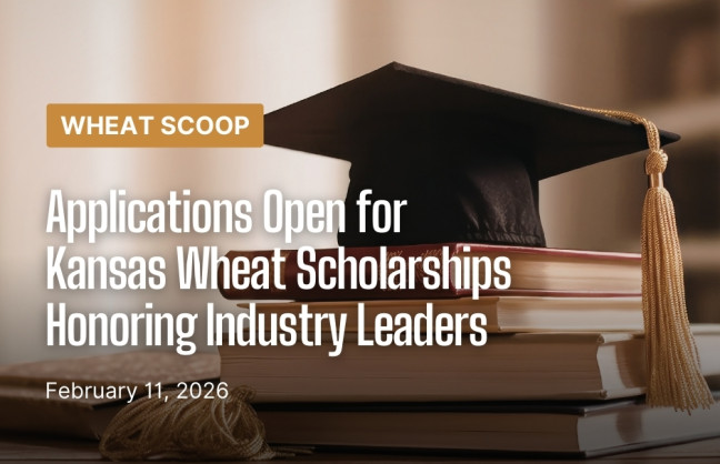 Scholarships (Facebook Post).jpg