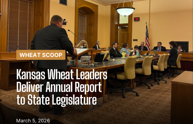 Annual Report (Facebook Post).png