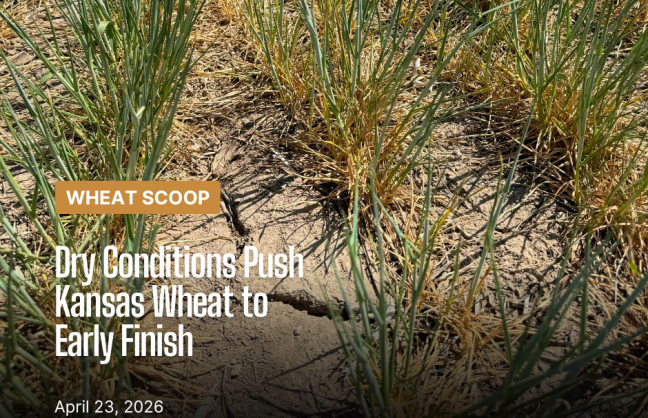 Drought(Facebook Post).png