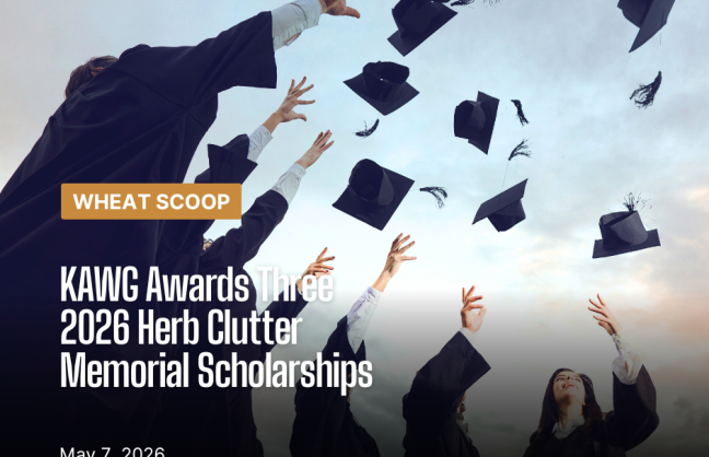 Scholarship (Facebook Post).png