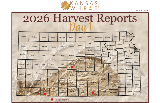 Harvest Report Day 1.png