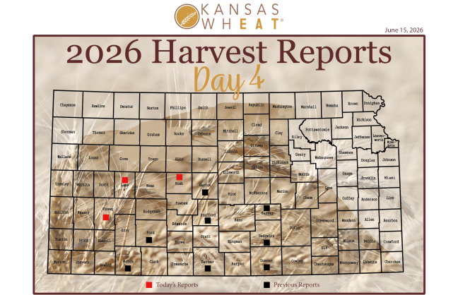 Day 4 Harvest Report