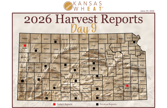 Harvest Map: Day 9