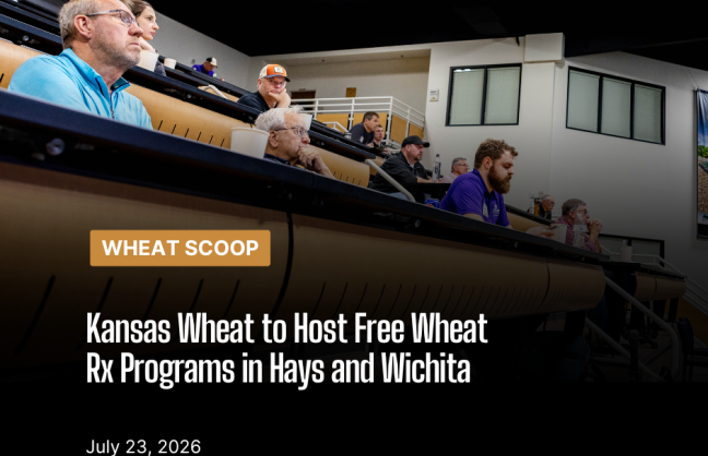 wheat scoop: wheat rx