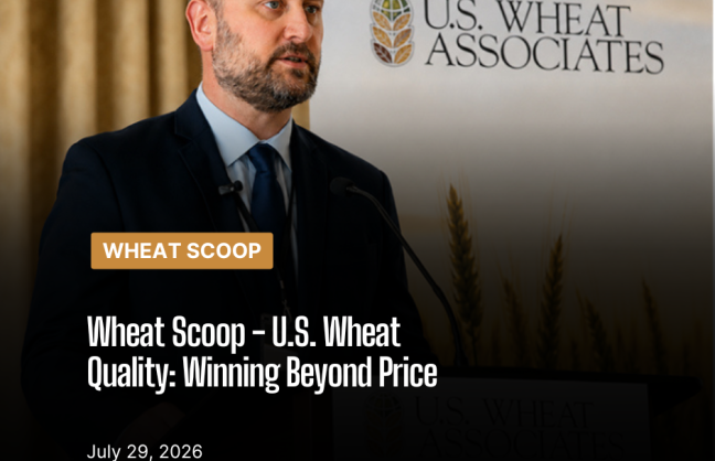 Wheat Scoop