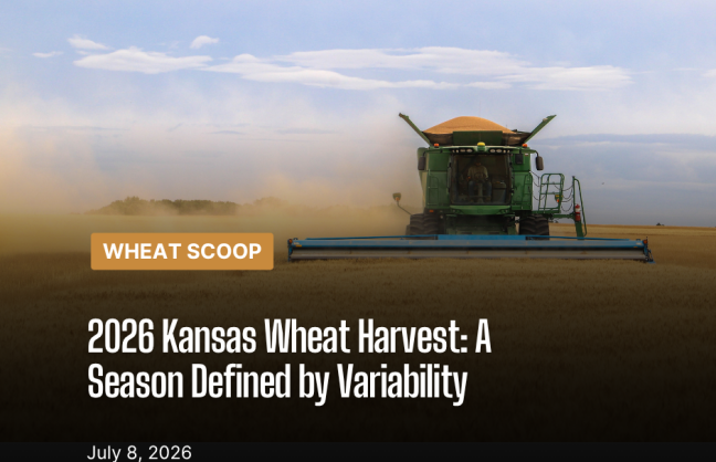 Wheat Scoop