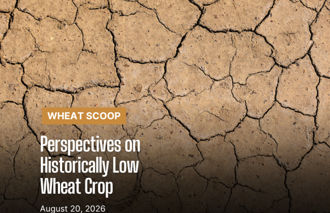 Copy of Wheat Scoop 82026 (Facebook Post).png