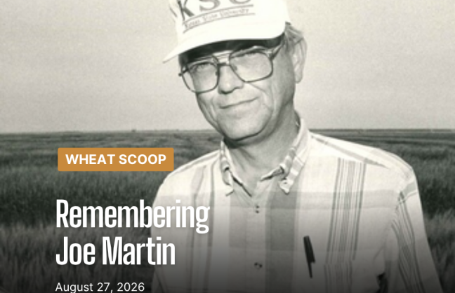 Remembering Joe Martin