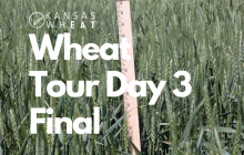 Image: Wheat Tour Day 3 Final.