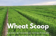 Wheat Scoop: Allan Fritz.