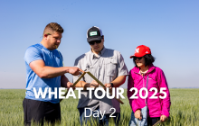 Wheat tour 2025, Day 2.