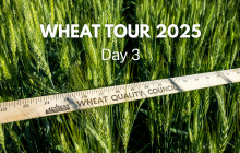 Image: Wheat Tour 2025, Day 3.