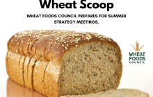 Wheat Scoop