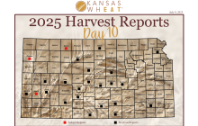 Map: Day 10 Harvest Report.