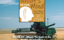 Copy of WOYM- 317 (Facebook Post).png