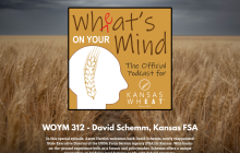 WOYM- David Schemm 